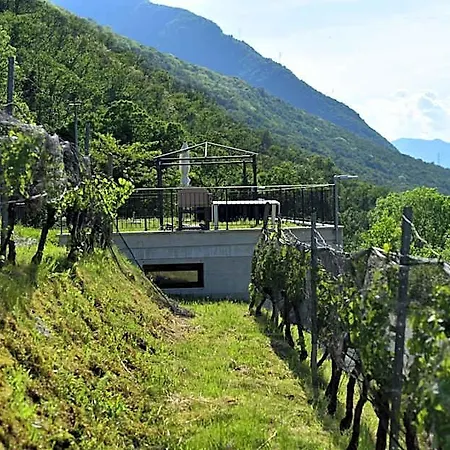 Viva Bacco Cadenazzo